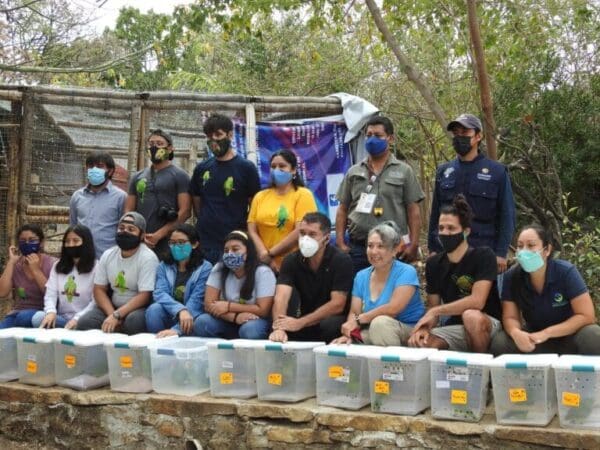 Stopping Illegal Parrot Trafficking in Mexico