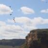 Wild Lear's Macaws fly near a cliff
