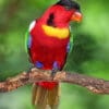 A Yellow-bibbed Lory perches on a branch
