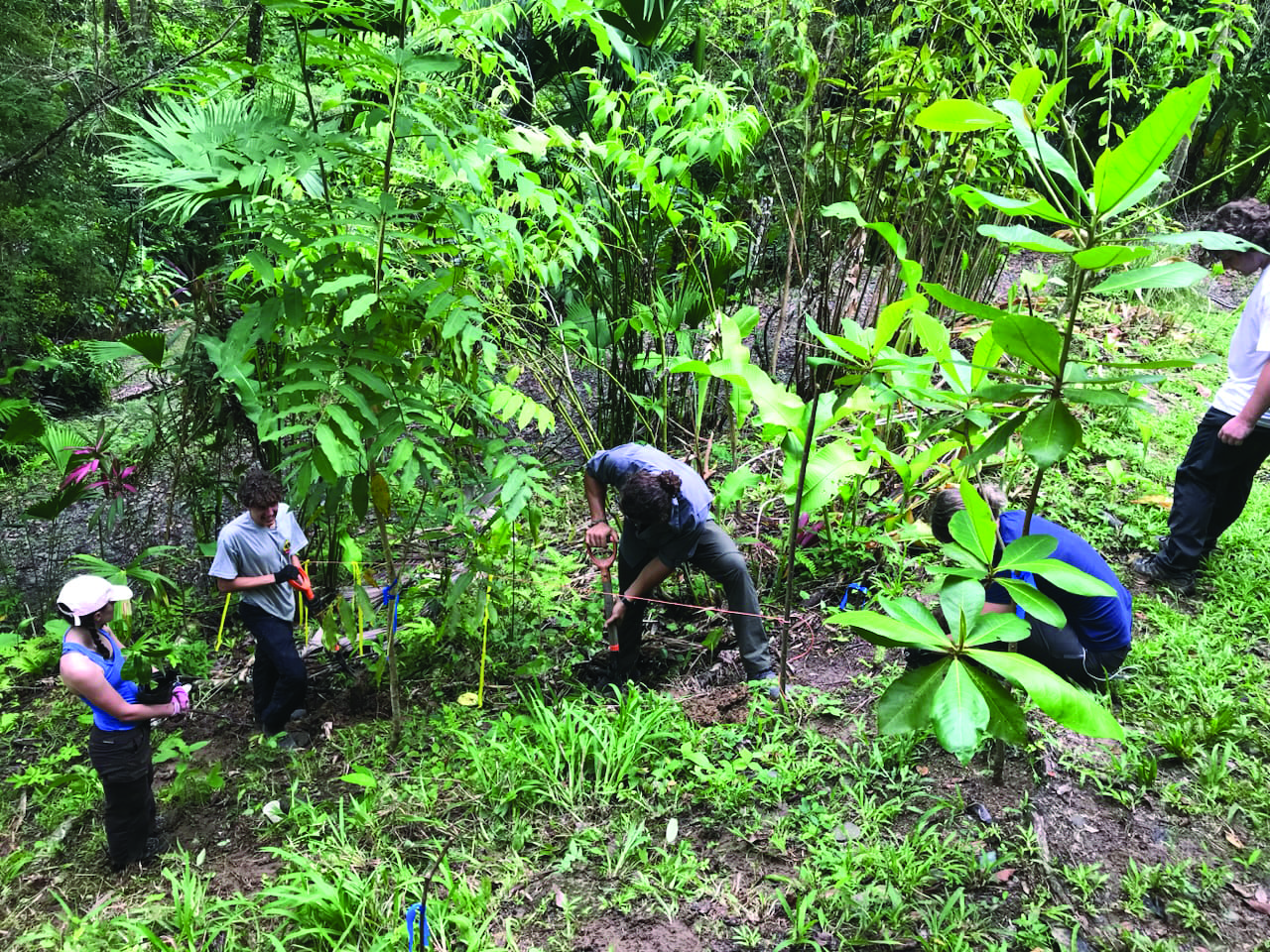 Protecting Wild Spaces