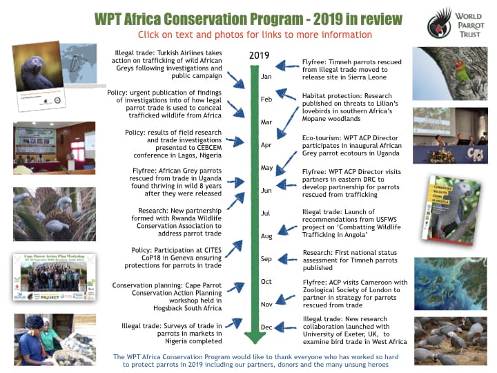 Wow, what a year! Highlights from another busy 12 months for WPT’s Africa Conservation Program