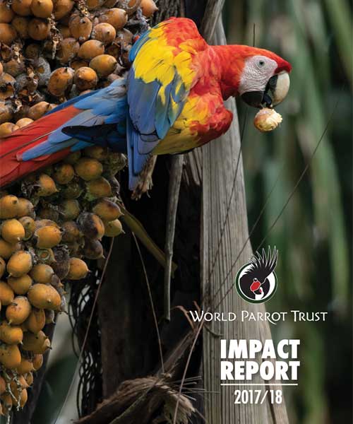 Cover of 2017/2018 WPT Impact Report