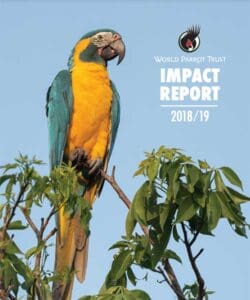 Cover of 2018/2019 WPT Impact Report