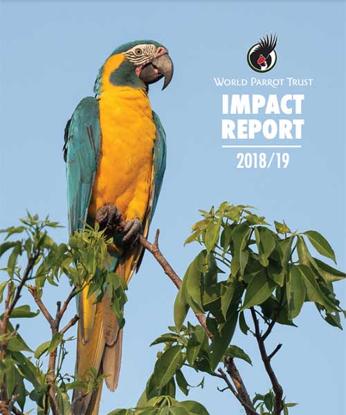 Cover of 2018/2019 WPT Impact Report
