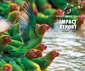 Cover of 2019/2020 WPT Impact Report