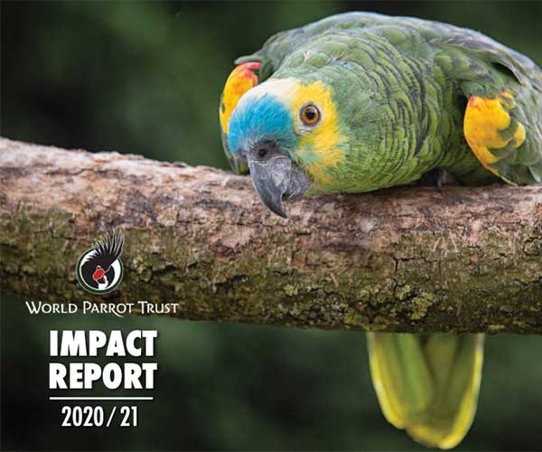 Cover of 2020/2021 WPT Impact Report