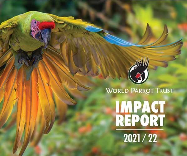 Cover of 2021/2022 WPT Impact Report