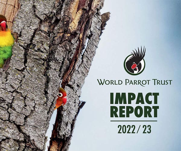 Cover of the World Parrot Trust's 2023-2024 Impact Report