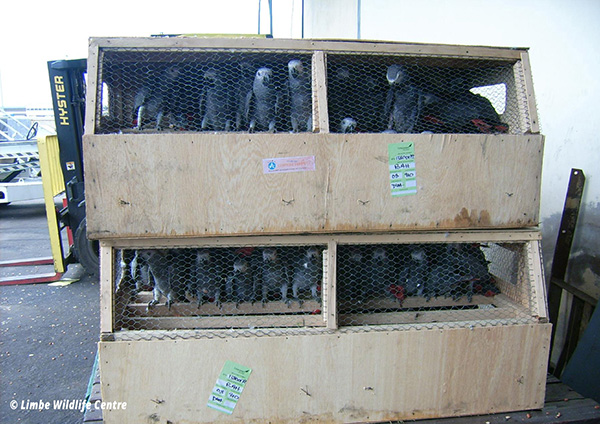 Developing Forensic Tools to Fight Wildlife Trafficking 