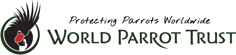World Parrot Trust