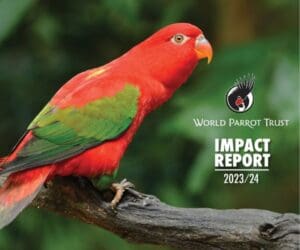 Cover of the World Parrot Trust's 2023-2024 Impact Report