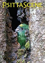 PS-Spring-2025-cover Spring 2025