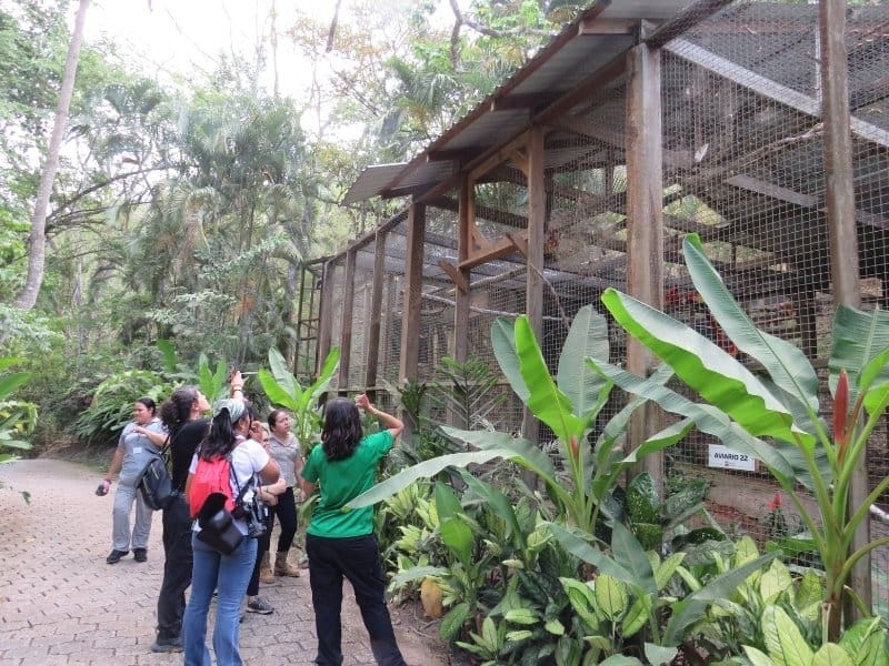 Aviary Tour