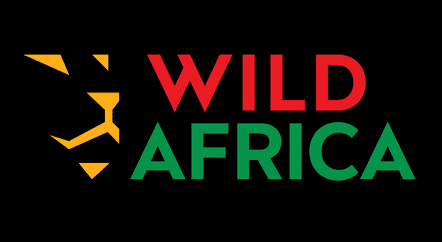 World Parrot Day: Wild Africa, World Parrot Trust Call for Stronger Protection of Parrots in Nigeria