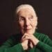 Jane Goodall