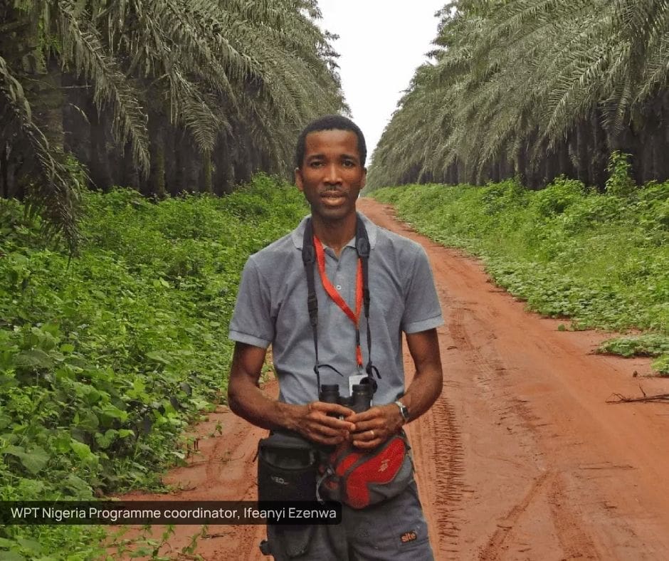 Supporting tomorrow’s parrot conservation leaders: Ifeanyi Ezenwa reflects on the Oxford Masterclass on Mitigating Illegal Wildlife Trade