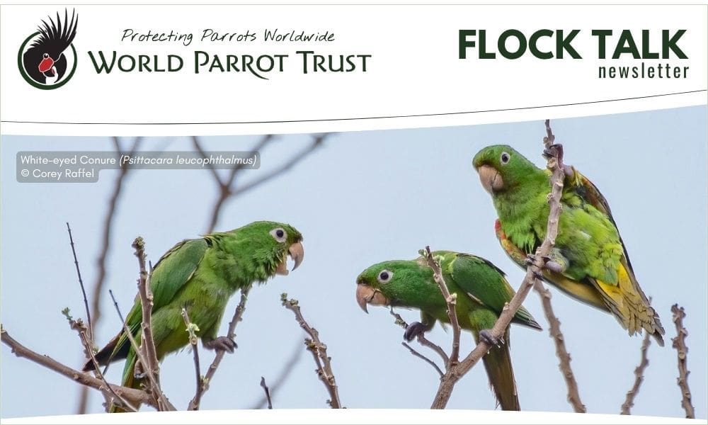 July 2026 Flock Talk